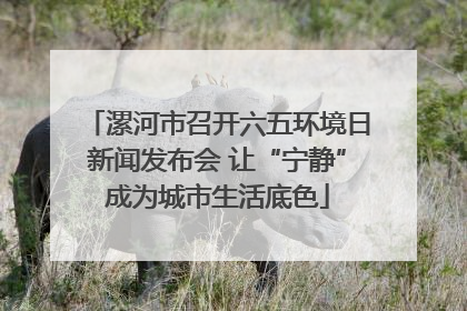 漯河市召开六五环境日新闻发布会 让“宁静”成为城市生活底色