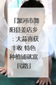 漯河市舞阳县姜店乡：大蒜喜获丰收 特色种植铺就富民路