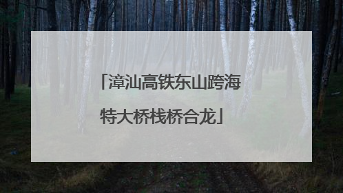 漳汕高铁东山跨海特大桥栈桥合龙
