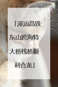 漳汕高铁东山跨海特大桥栈桥顺利合龙
