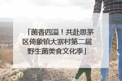 菌香四溢！共赴思茅区倚象镇大寨村第二届野生菌美食文化季