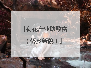 荷花产业助致富（侨乡新貌）