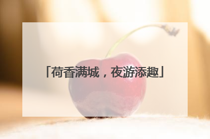荷香满城，夜游添趣