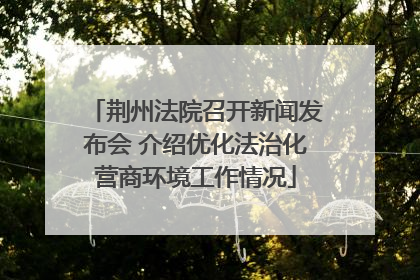 荆州法院召开新闻发布会 介绍优化法治化营商环境工作情况