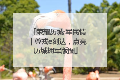 荣耀历城·军民情｜尊戎e刻达，点亮历城拥军版图