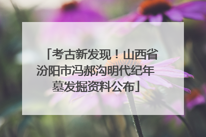 考古新发现！山西省汾阳市冯郝沟明代纪年墓发掘资料公布