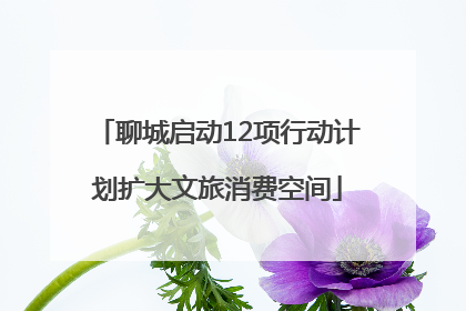 聊城启动12项行动计划扩大文旅消费空间