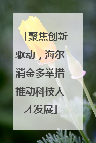 聚焦创新驱动，海尔消金多举措推动科技人才发展