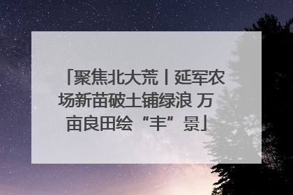 聚焦北大荒丨延军农场新苗破土铺绿浪 万亩良田绘“丰”景