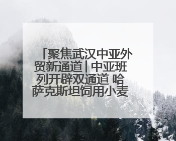 聚焦武汉中亚外贸新通道│中亚班列开辟双通道 哈萨克斯坦饲用小麦将抵鄂