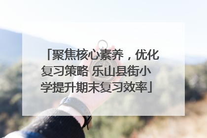 聚焦核心素养，优化复习策略 乐山县街小学提升期末复习效率
