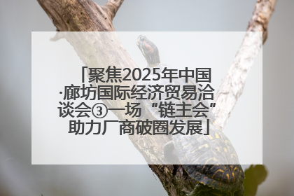 聚焦2025年中国·廊坊国际经济贸易洽谈会③一场“链主会” 助力厂商破圈发展