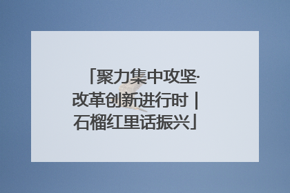 聚力集中攻坚·改革创新进行时｜石榴红里话振兴
