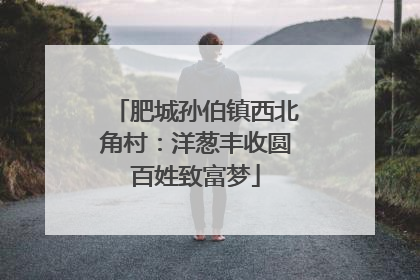 肥城孙伯镇西北角村：洋葱丰收圆百姓致富梦