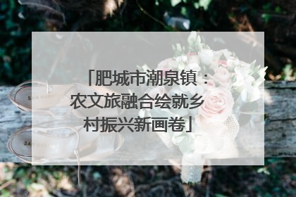 肥城市潮泉镇：农文旅融合绘就乡村振兴新画卷