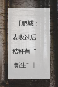 肥城：麦收过后秸秆有“新生”