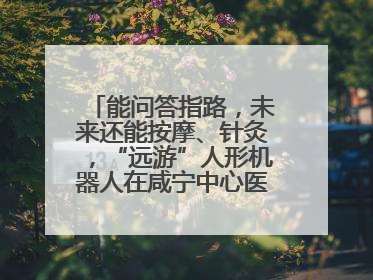 能问答指路，未来还能按摩、针灸，“远游”人形机器人在咸宁中心医院上岗