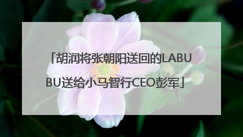 胡润将张朝阳送回的LABUBU送给小马智行CEO彭军