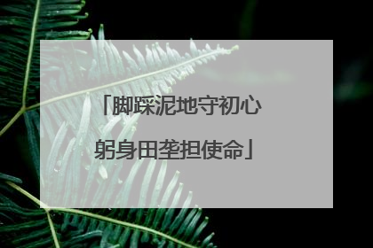 脚踩泥地守初心 躬身田垄担使命