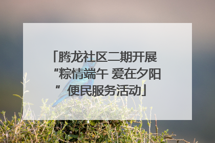 腾龙社区二期开展 “粽情端午 爱在夕阳”便民服务活动