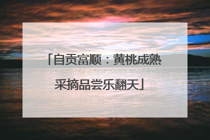 自贡富顺：黄桃成熟 采摘品尝乐翻天