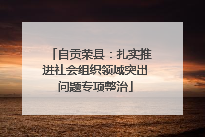 自贡荣县：扎实推进社会组织领域突出问题专项整治