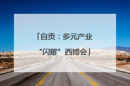 自贡：多元产业“闪耀”西博会