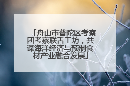 舟山市普陀区考察团考察联舌工坊，共谋海洋经济与预制食材产业融合发展