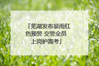 芜湖发布暴雨红色预警 交警全员上岗护高考