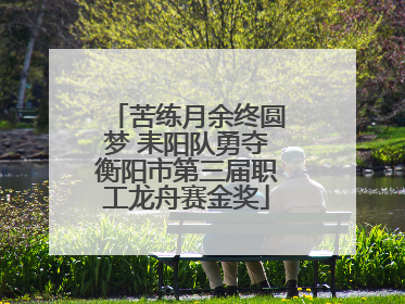 苦练月余终圆梦 耒阳队勇夺衡阳市第三届职工龙舟赛金奖