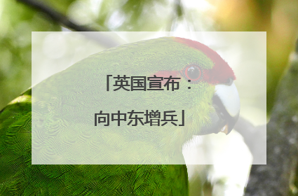 英国宣布：向中东增兵