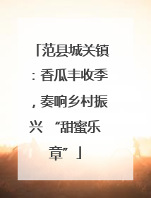 范县城关镇：香瓜丰收季，奏响乡村振兴 “甜蜜乐章”