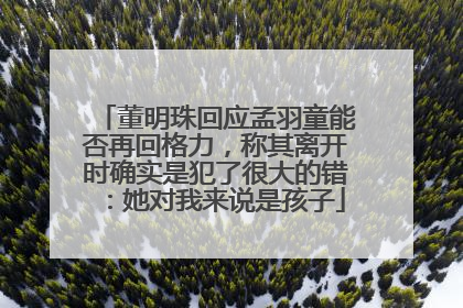 董明珠回应孟羽童能否再回格力，称其离开时确实是犯了很大的错：她对我来说是孩子