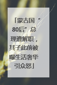 蒙古国“80后”总理遭解职，其子此前被曝生活奢华引众怒