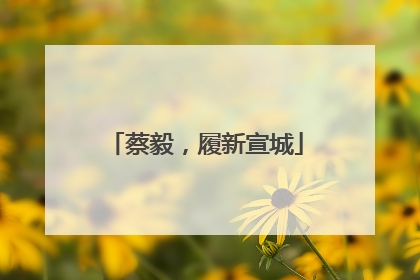 蔡毅，履新宣城
