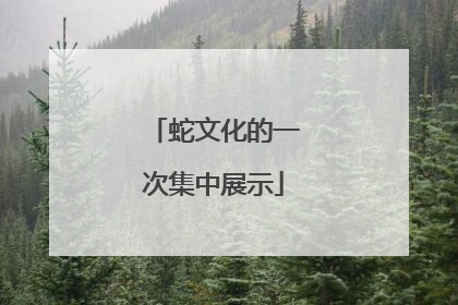 蛇文化的一次集中展示