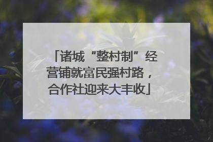 诸城“整村制”经营铺就富民强村路，合作社迎来大丰收