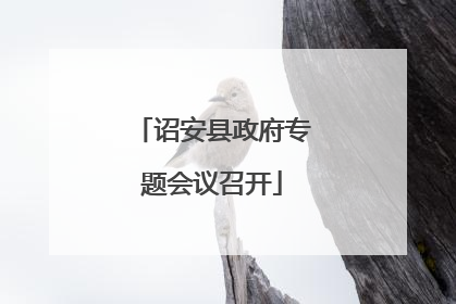 诏安县政府专题会议召开