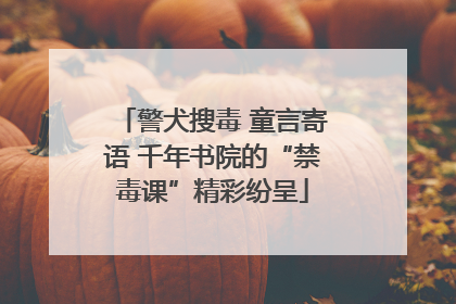 警犬搜毒 童言寄语 千年书院的“禁毒课”精彩纷呈