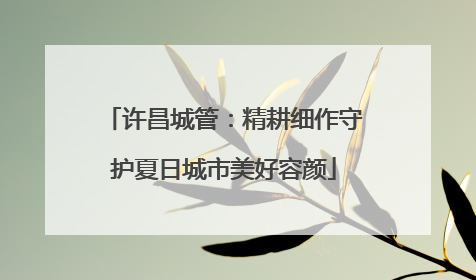 许昌城管：精耕细作守护夏日城市美好容颜