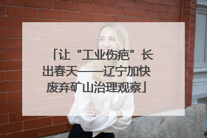 让“工业伤疤”长出春天——辽宁加快废弃矿山治理观察