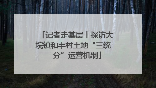 记者走基层丨探访大垸镇和丰村土地“三统一分”运营机制
