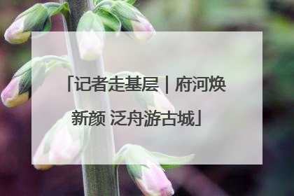 记者走基层｜府河焕新颜 泛舟游古城