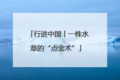行进中国丨一株水草的“点金术”