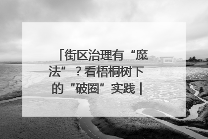 街区治理有“魔法”？看梧桐树下的“破圈”实践｜我在街区当书记