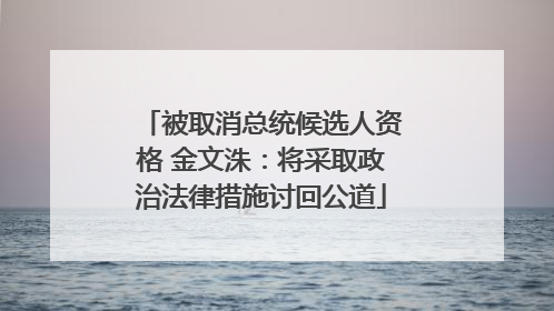 被取消总统候选人资格 金文洙：将采取政治法律措施讨回公道