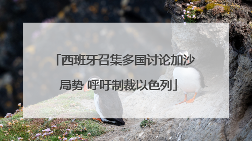 西班牙召集多国讨论加沙局势 呼吁制裁以色列