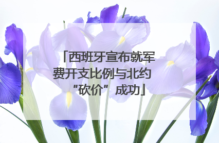 西班牙宣布就军费开支比例与北约“砍价”成功