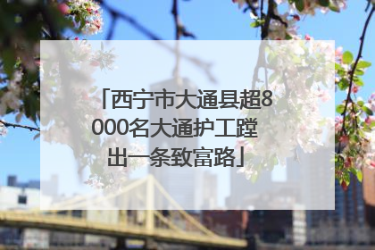 西宁市大通县超8000名大通护工蹚出一条致富路