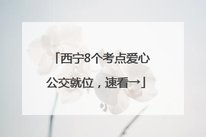 西宁8个考点爱心公交就位，速看→